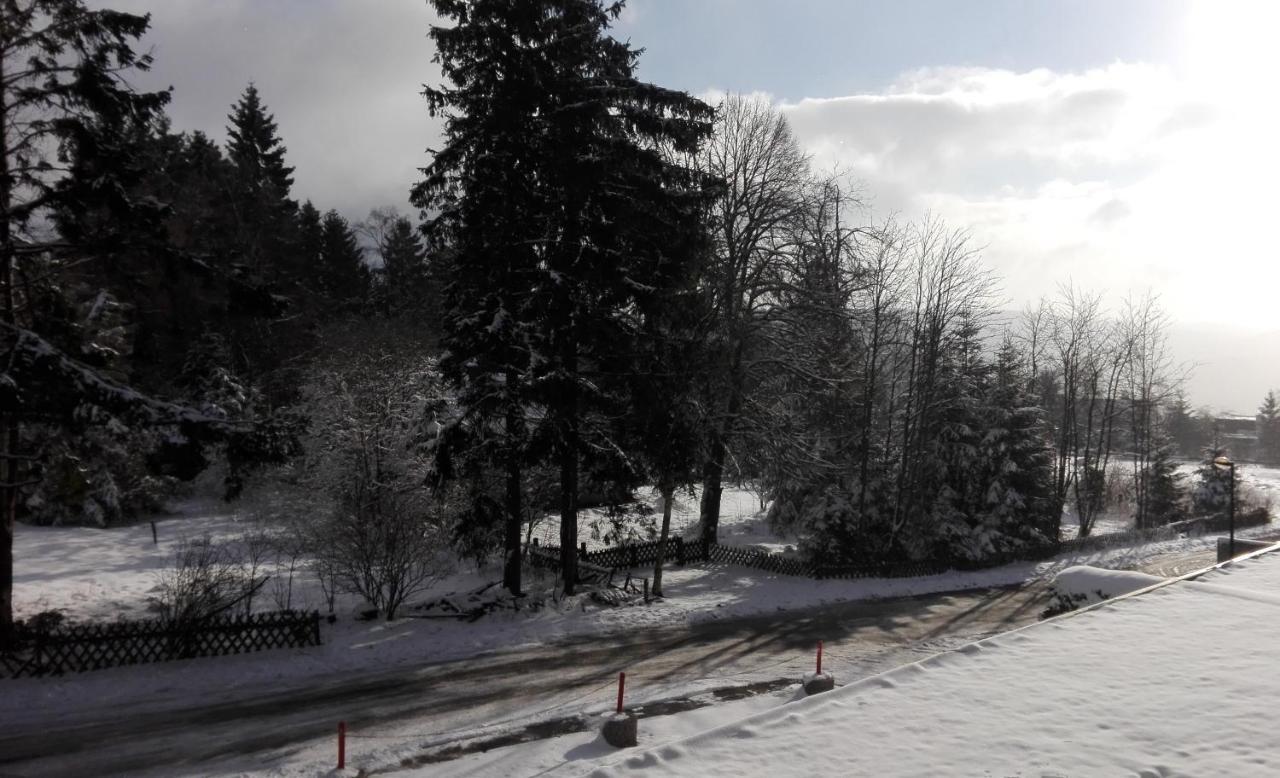 Fichtenweg 54 Winterberg Kültér fotó