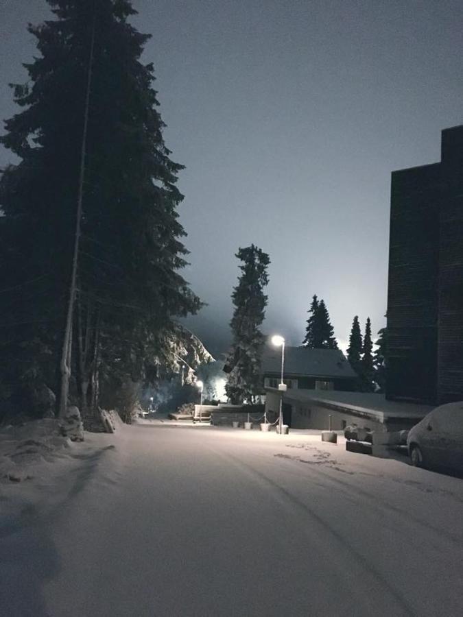 Fichtenweg 54 Winterberg Kültér fotó