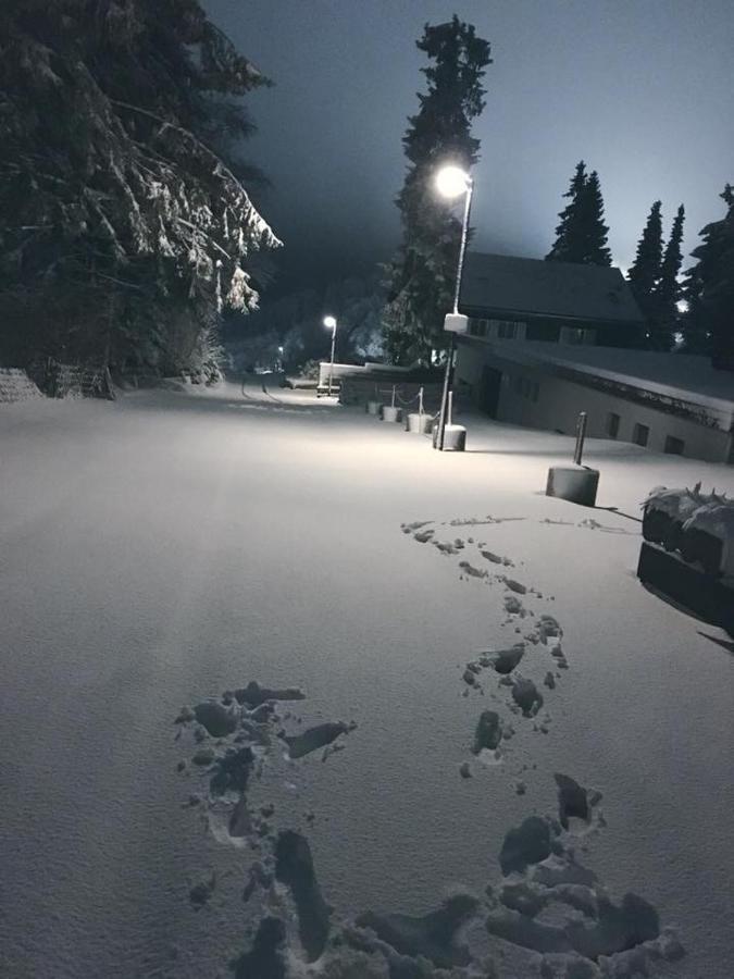 Fichtenweg 54 Winterberg Kültér fotó
